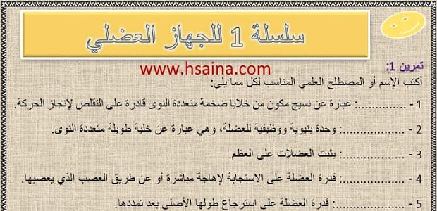 تمارين وحلول السلسلة 1 للجهاز العضلي للثالثة إعدادي