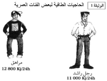 الحاجيات الطاقية لبعض الفئات العمرية مادة علوم الحياة والأرض