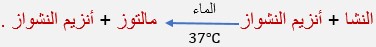 معادلة تفاعل النشا مع أنزيم النشواز