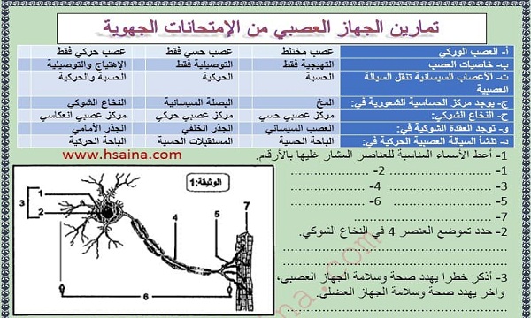 تمارين للجهاز العصبي مع التصحيح من الإمتحانات الجهوية لعلوم الحياة والأرض لمستوى الثالثة إعدادي