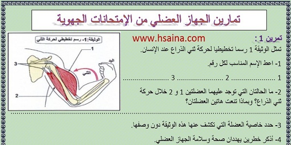 تمارين للجهاز العضلي مع التصحيح من الإمتحانات الجهوية لعلوم الحياة والأرض لمستوى الثالثة إعدادي