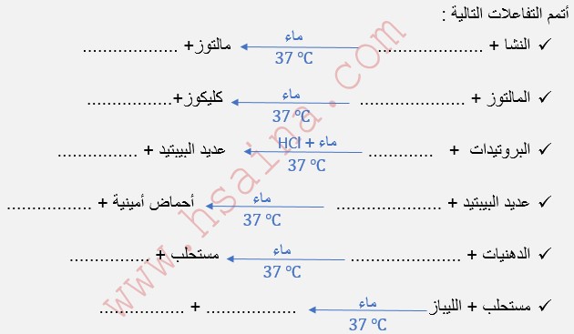  تمرين حول المعادلات الكيميائية لهضم الأغذية للثالثة إعدادي مادة علوم الحياة والأرض  