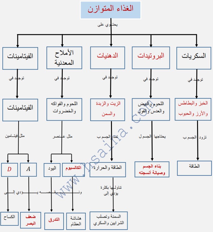 حل تمرين حول الأغذية المتوازنة وأهميتها للجسم علوم الحياة والأرض للسنة الثالثة إعدادي