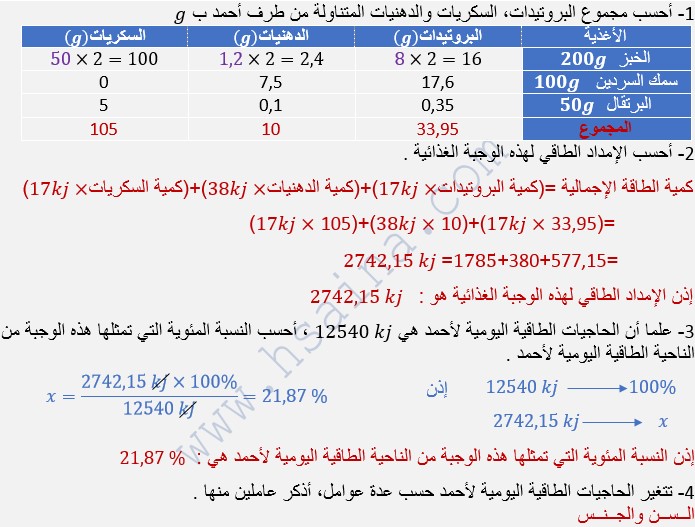 طريقة حساب الإمداد الطاقي لوجبة غذائية مادة علوم الحياة والأرض