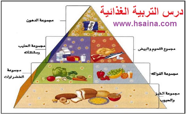  درس التربية الغذائية في مادة العلوم الطبيعية لتلاميذ السنة الثالثة إعدادي الدورة 1