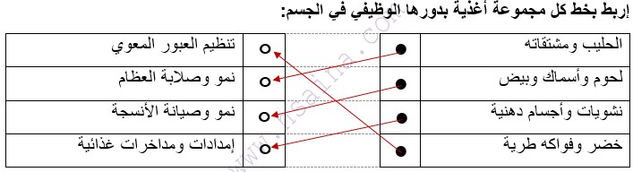 مجموعة الأغذية ودورها - درس التربية الغذائية للسنة الثالثة إعدادي