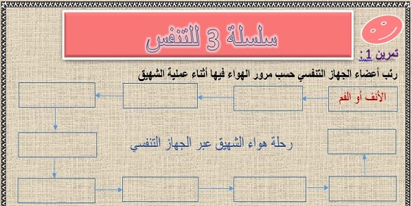 سلسلة 3 للتنفس لمادة علوم الحياة والأرض للسنة الثالثة إعدادي مع التصحيح