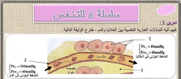 سلسلة 4 للتنفس عند الإنسان لمادة علوم الحياة والأرض للسنة الثالثة إعدادي مع التصحيح