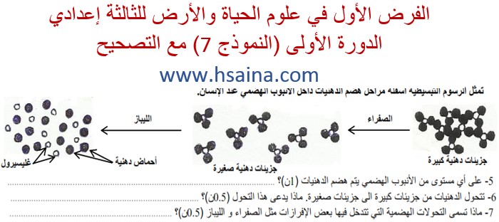 فرض محروس رقم 1 لعلوم الحياة والأرض للثالثة إعدادي الدورة 1 النموذج (7) مع التصحيح