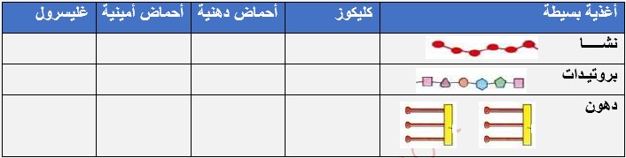   مواد القيت الناتجة عن الهضم النهائي لكل غذاء 